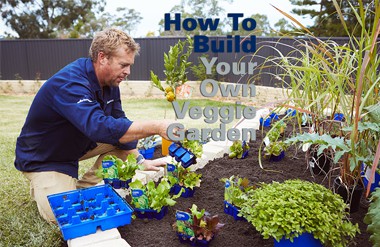 STEP BY STEP INSTRUCTIONS ON HOW TO BUILD YOUR VEGETABLE GARDEN